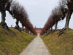 Ein Schotterweg. Links und rechts Wiesenhügel mit Bäumen. Am Ende des langen Weges schimmert das Schloss durch die Bäume.