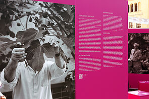 Das Bild eines Mannes im weißen Hemd, das Gesicht hinter einem Blatt versteckt. Rechts daneben steht seine Geschichte.