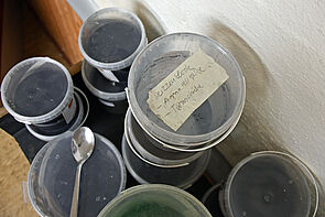 Mehrere Plastikdosen stehen neben- und übereinander.