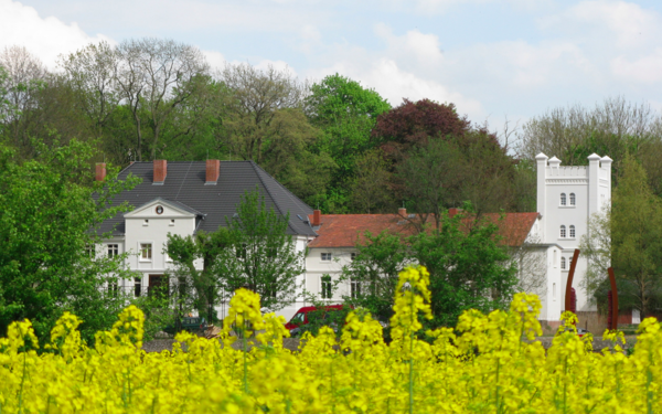 Das Schloss Bröllin. Im Vordergrund blüht Raps.