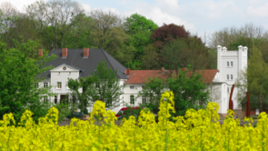 Das Schloss Bröllin. Im Vordergrund blüht Raps.