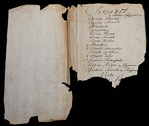 Zwei Papierblätter. Das Papier ist sehr alt und kaputt. 