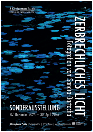 Das Plakat zur Ausstellung.