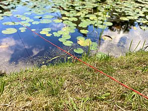 Detailaufnahme von einer Wiese und einem Teich mit Seerosen. Darüber liegt bzw. schwebt ein roter Faden.