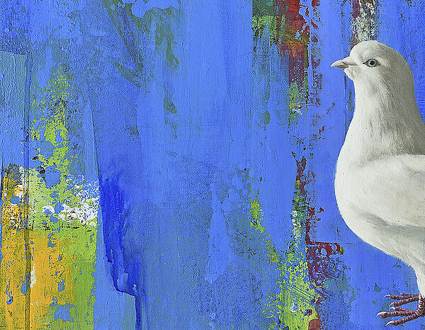 Ein abstrakter Hintergrund. Die Hauptfarbe ist blau. Gepaart mit roten, grünen und gelb-orangen Pinselstrichen. Auf dem blauen Hintergrund steht eine weiße Taube. 