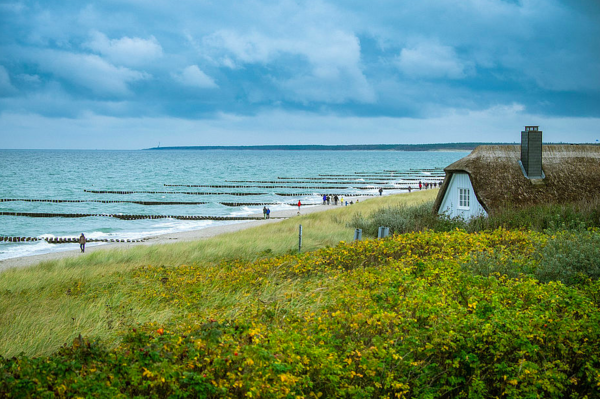 Der Ostseestrand. Links ragen Buhnen ins Wasser. Neben dem Strand wachsen Wiese und Sträucher. Mittendrin steht ein Reet gedecktes Haus. 