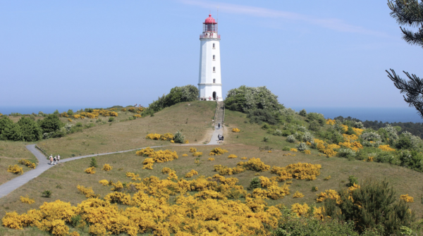 Besucherinnen und Besucher auf dem Weg zum Leuchtturm Dornbusch. 