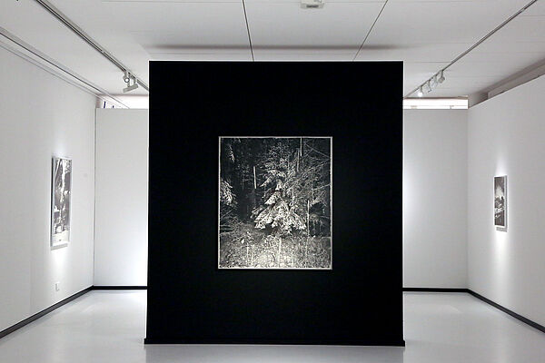 Eine große Grafik hängt an einer schwarzen Wand.