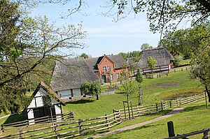 Eine weitläufige Wiese. Darauf stehen alte Bauern- und Reetdachhäuser.