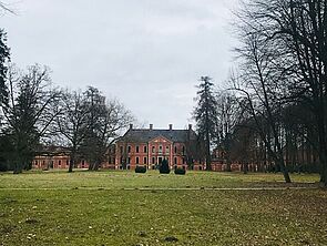 Wiese. Bäume. Im Hintergrund: Schloss Bothmer.