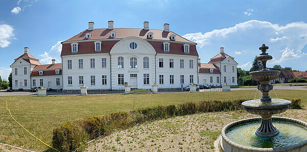 Ein historischer Springbrunnen. Wiese. Im Hintergrund steht das Schloss.