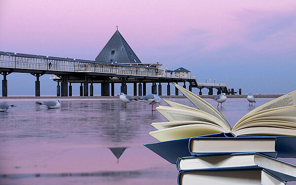 Die Seebrücke von Heringsdorf ragt in die Ostsee. Im seichten Wasser stehen Möwen. Im Vordergrund befindet sich ein Stapel Bücher. Ein Buch ist aufgeschlagen. Das Foto ist eine Collage.