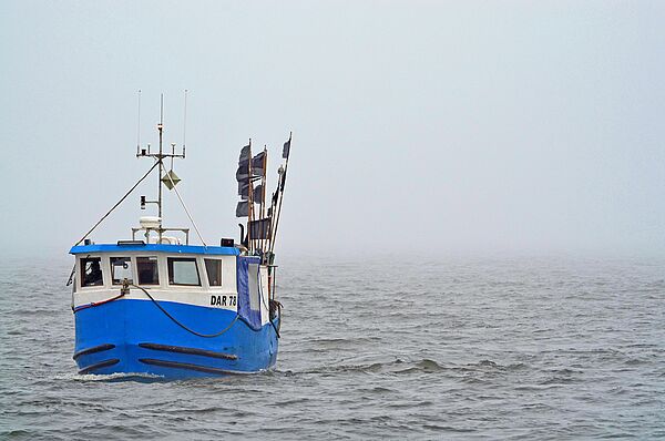 Ein Fischerboot im Nebel
