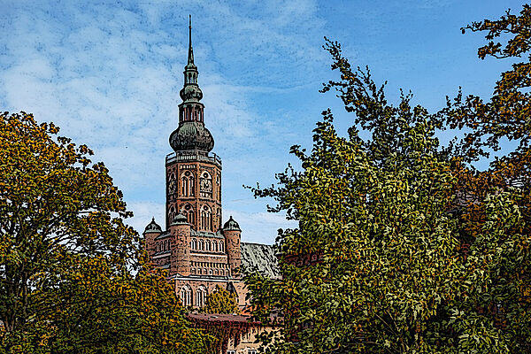 Zwischen zwei Bäumen ragt der Greifswalder Dom hervor. 