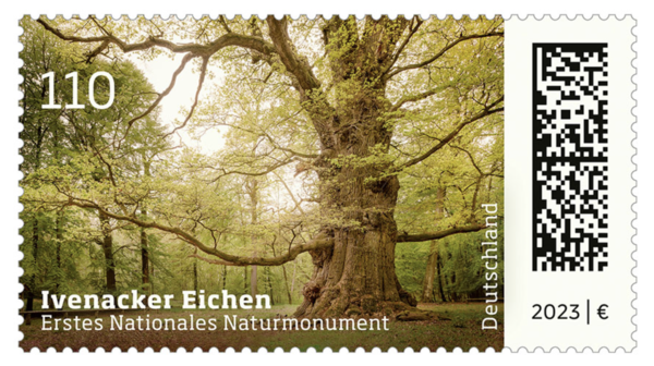 Die Ivenacker Eichen sind auf einer Briefmarke abgebildet. Auf der Marke steht "Ivenacker Eichen. Erstes Nationales Naturmonument".