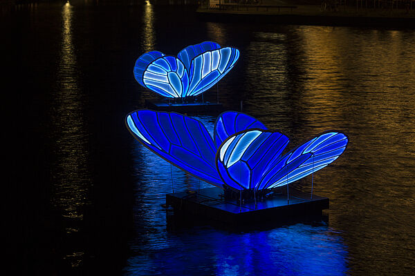 Eine Lichtinstallation. Zu sehen sind leuchtende Schmetterlinge in blauer Farbe.