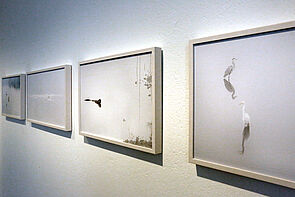 Bilder in weißen Rahmen hängen an der weißen Wand.