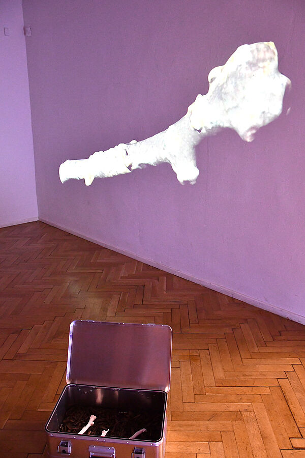 Vorne steht ein offener Koffer mit Ästen. ´Dahinter wird eine Animation eines Astes an eine Wand projeziert.