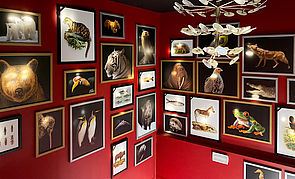 An einer roten Wand hängen viele Bilderrahmen. In den Rahmen befinden sich Fotos oder Zeichnungen von Tieren. Die Rahmen sind schwarz, silber und golden. 