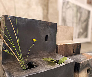 Aus einem schwarzen Kasten mit Löchern wachsen Pflanzen.
