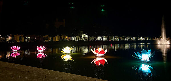 Ein Teich bei Nacht. Auf dem Teich sind große Seerosen. Sie sind bunt beleuchtet.