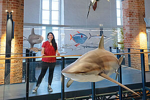 Blick in die Ausstellungshalle. Im Vordergrund sind Ausstellungsstücke in einer Vitrine zu sehen. Dahinter eine Frau.