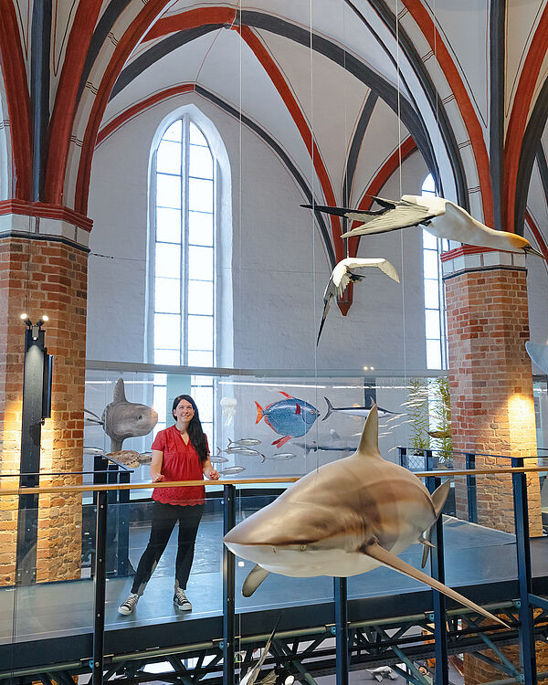 Blick in die Ausstellungshalle. Im Vordergrund sind Ausstellungsstücke in einer Vitrine zu sehen. Dahinter eine Frau.