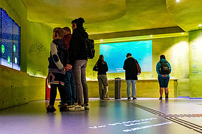 Ein Ausstellungsraum. Die Wände schimmern grün. An einer Wand befindet sich ein Monitor mit Informationen. An einer anderen Wand läuft eine Filmsequenz. Im Raum befinden sich Personen.