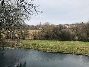 Wasser, Wiese und Bäume.