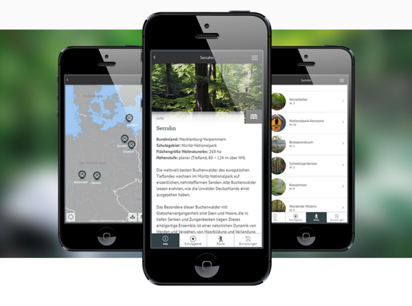 Drei Handys stehen nebeneinander. Das mittlere ist hervorgerückt. Das linke Handy bildet eine Karte ab. Das mittlere enthält Text und ein Foto mit Baumstämmen. Das rechte enthält eine Übersicht von Wäldern.