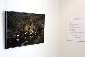 Links an der Wand hängt ein Billd in dunklen Farben. Rechts an der Wand steht ein Text.
