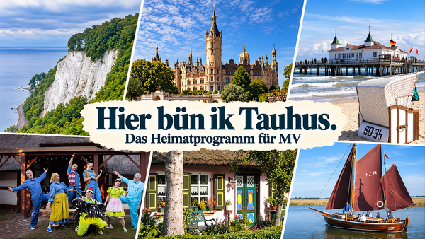 Eine Bildcollage mit sechs Motiven aus Mecklenburg-Vorpommern. Zu sehen sind unter anderem das Schweriner Schloss, die Steilküste und ein Strand.