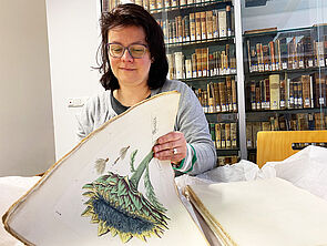 Gritt Brosowski sitzt vor einer Vitrine, in der sehr alte Bücher stehen. Die Bibliotheksmitarbeiterin blättert in einem Buch über Gewächse aus dem Jahr 1765. Die Seiten sind nicht gebunden, sondern lose.