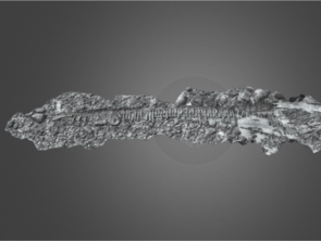 Ein 3D-Scan eines Holzwracks.