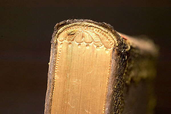 Ein historisches Buch in braunem Einband. Die Seitenränder sind golden und bilden zusammengeklappt am Rand ein Schmuckornament. 
