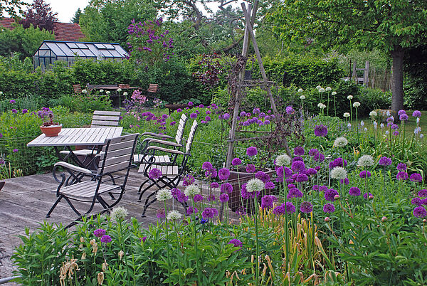 In einem Garten stehen weiße und lila Blumen, Sträucher, Bäume, ein Gewächshaus sowie ein Gartentisch mit vier Stühlen.