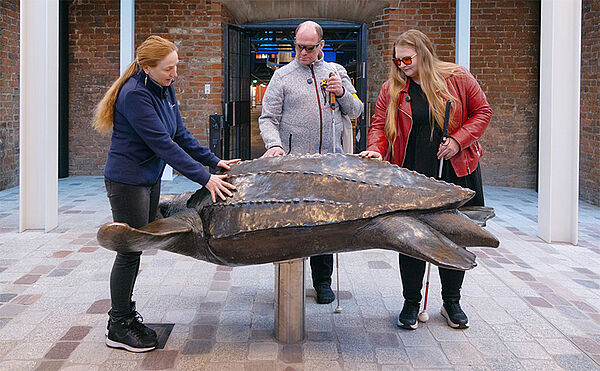 Drei Leute. Sie stehen vor einem großen Tiermodell. Das Modell zeigt eine Schildkröte. Die Leute berühren die Schildkröte.
