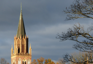 Der Turm der Konzertkirche Neubrandenburg ragt zwischen Bäumen hervor in grauen Himmel.