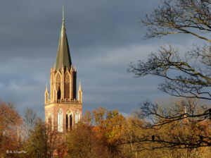 Der Turm der Konzertkirche Neubrandenburg ragt zwischen Bäumen hervor in grauen Himmel.
