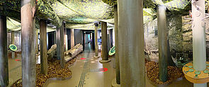 In einem Ausstellungsraum stehen viele Säulen. Darin befinden Knöpfe, Taster und Schalter zum Drücken. Auf dem Boden liegen in einer Ecke Laub und ein Baumstamm. 