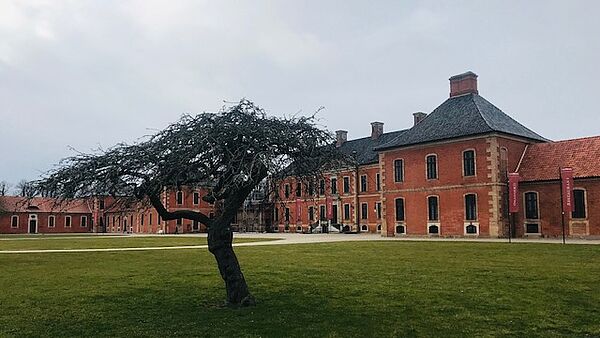 Wiese. Ein Baum. Dahinter steht Schloss Bothmer.