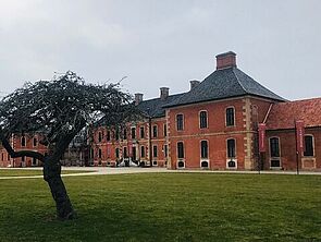 Wiese. Ein Baum. Dahinter steht Schloss Bothmer.