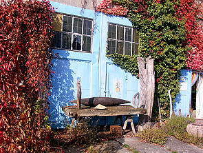 Vor einem blauen Tor steht eine Holzbank. An der Fassade wachsen Pflanzen. 