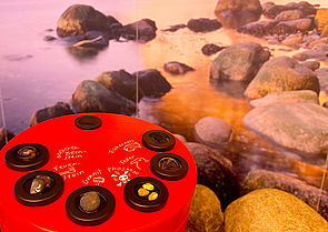 Auf einem runden, roten Tisch liegen Beispiele für Bernstein, Feuerstein, Phosphor, Granit, Federn und Fischernetze. An der Wand hängt eine Tapete mit großen Steinen, die im Wasser liegen. 