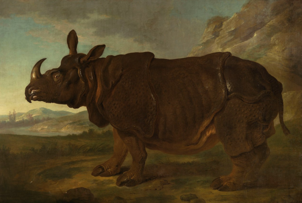 Ein Nashorn steht in der Landschaft.