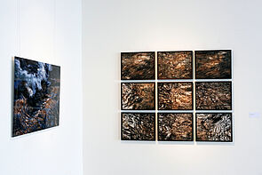 Ein Mosaik aus Bildern. 