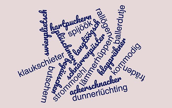 Auf beigefarbenem Hintergrund verteilen sich dunkelblaue plattdeutsche Wörter. Zum Beispiel: ackerschnacker, butschern, rallögen und plüschmors. 