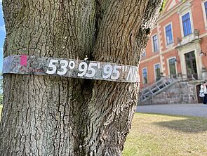 An einem Baumstamm hängt ein Streifen mit Koordinaten.
