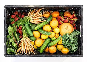 In einer Kiste liegen Möhren, Erdbeeren, Gurken, Zitronen, Orangen und Salat. 