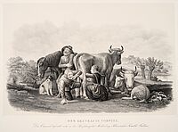 August Achilles: Der bestrafte Vorwitz